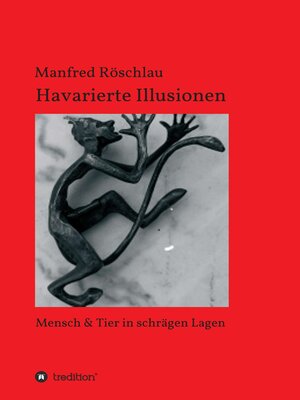 cover image of Havarierte Illusionen